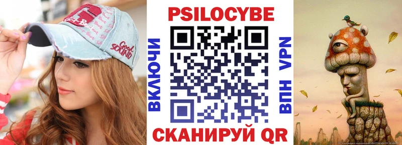 Купить  Стародуб  Псилоцибиновые грибы ЛСД 