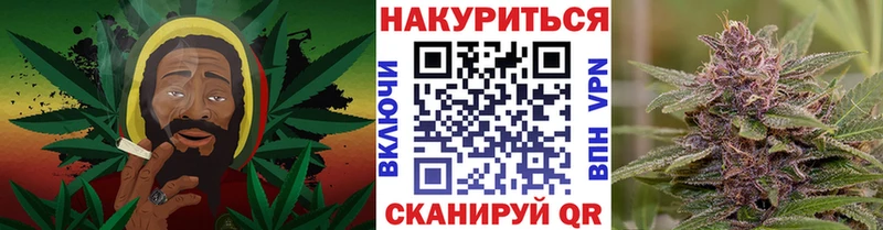 Канабис SATIVA & INDICA  Купить где  Стародуб 